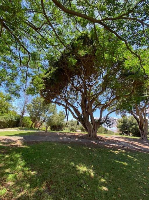 Apt Moderno Con Vistas, Recepcion 24 Hs Y Piscinas Benalmádena Εξωτερικό φωτογραφία